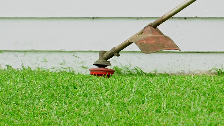 Best Tree and Shrub Care  in China Lake Acres, CA